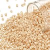 Cylinder Seed Beads X-SEED-H001-H11-1