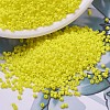 MIYUKI Delica Beads SEED-X0054-DB0751-1