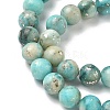 Dyed Natural Dolomite Beads Strands G-D337-8mm-D07-4