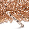 TOHO 6/0 Round Beads SEED-XTR06-0031-2