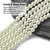 Eco-Friendly Dyed Glass Pearl Round Bead Strands X-HY-A002-8mm-RB011-3