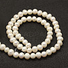 Natural Cultured Freshwater Pearl Beads Strands X-PEAR-F005-06-2