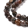 Natural Petrified Wood Beads Strands G-E571-27A-4