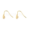 Brass Earring Hook KK-C003-01G-1