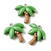 Summer Theme Resin Pendants CRES-D307-09P-C-1