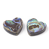 Abalone Shell/Paua Shell Beads X-SHEL-T005-01-2