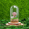Glass Dome Cover with Synthetic Strawberry Quartz Mushroom Inside BOHO-PW0001-085C-1
