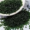 MIYUKI Round Rocailles Beads X-SEED-G008-RR0158-1