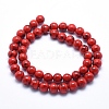 Sea Shell and Synthetic Turquoise Assembled Beads Strands G-G758-11-6mm-2
