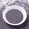 MIYUKI Delica Beads X-SEED-J020-DB1065-3