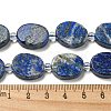 Natural Lapis Lazuli Beads Strands G-G072-C01-01-5