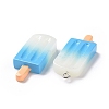 Gradient Color Resin Imitation Food Pendants RESI-H144-11-4