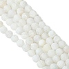 Natural Weathered Agate Beads Strands G-G589-8mm-03-4