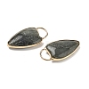Natural Labradorite Pendants G-I393-01G-08-2