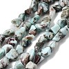 Natural Larimar Beads Strands G-P601-A21-02-2