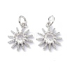 Brass Cubic Zirconia Charms ZIRC-C022-18P-1