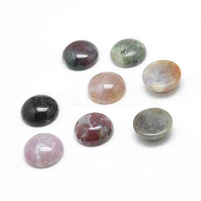 Natural Indian Agate Gemstone Cabochons G-T020-20mm-23-1