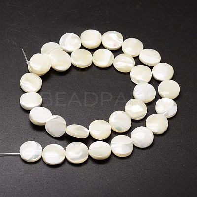 Natural Trochid Shell/Trochus Shell Beads Strands SSHEL-K016-03A-1