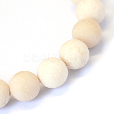 Frosted Natural Fossil Round Bead Strands G-E334-12mm-22-1