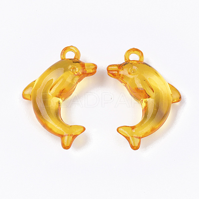 Transparent Acrylic Pendants TACR-S133-070-1
