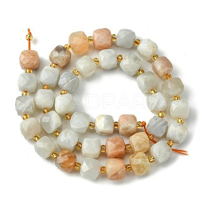 Natural Multi-Moonstone Beads Strands G-Q010-A04-01-1