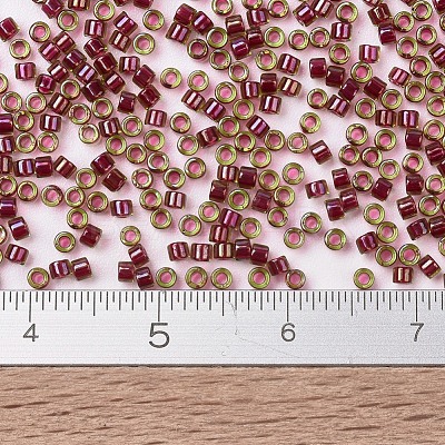 MIYUKI Delica Beads SEED-X0054-DB1748-1