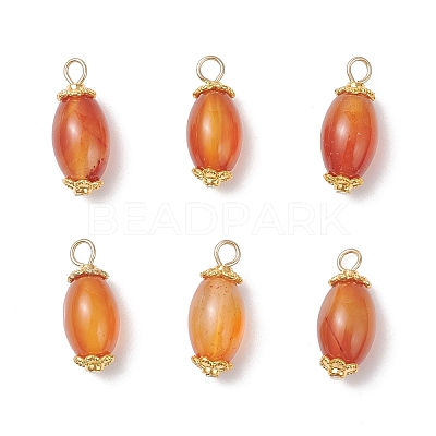 6Pcs Natural Agate(Dyed & Heated) Pendants PALLOY-JF04532-02-1
