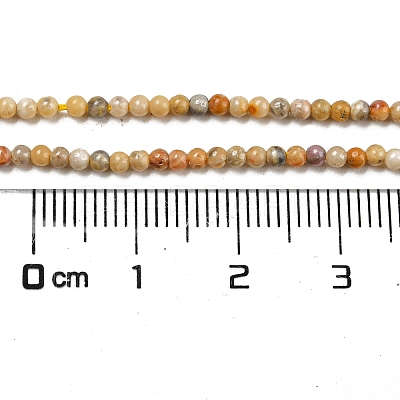 Natural Crazy Lace Agate Bead Strands G-A130-2mm-K10-1