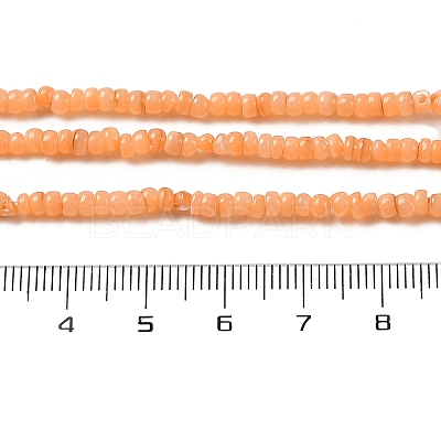 Natural Freshwater Shell Beads Strands SHEL-P017-01B-05-1