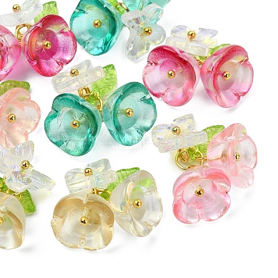 8Pcs 4 Colors Glass & Acrylic Pendants PALLOY-YW00215-1
