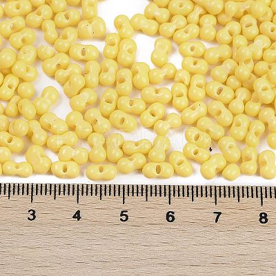 Baking Paint Glass Seed Beads X1-SEED-K010-A26-1