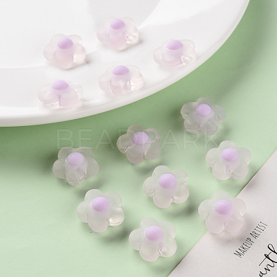 Transparent Acrylic Beads TACR-S152-09C-09-1