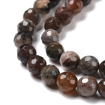Natural Petrified Wood Beads Strands G-E571-27A-1