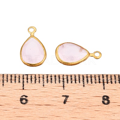 K9 Glass Charms GLAA-T023-10A-1
