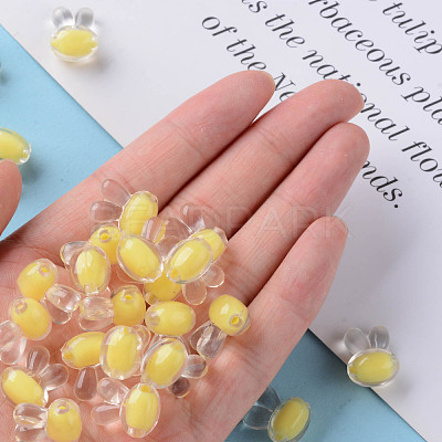 Transparent Acrylic Beads TACR-S152-05A-SS2105-1