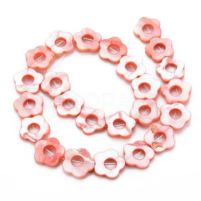 Freshwater Shell Beads Frames Strands SHEL-T009-14C-1