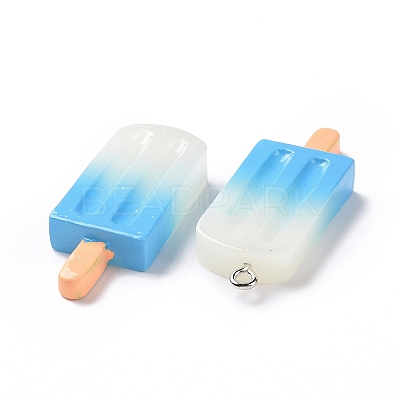 Gradient Color Resin Imitation Food Pendants RESI-H144-11-1