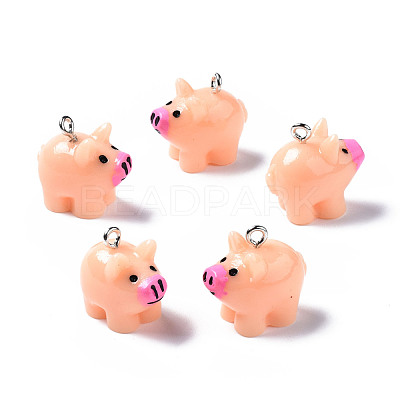 Opaque Resin Pendants X-RESI-S356-064-1
