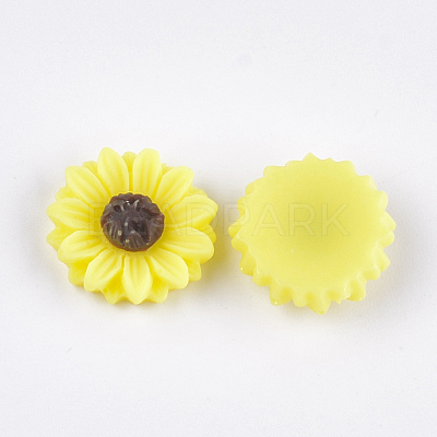 Resin Cabochons X-CRES-T010-60J-1