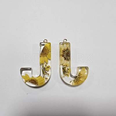 Transparent Epoxy Resin Pendants CRES-YW0002-12J-1