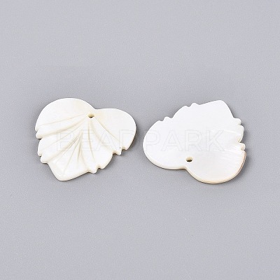 Natural Freshwater Shell Carved Pendants SHEL-Q028-12-1