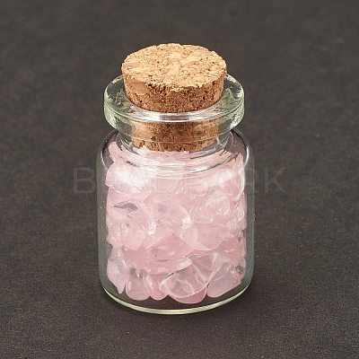 Transparent Glass Wishing Bottle Decoration DJEW-A001-01A-07-1