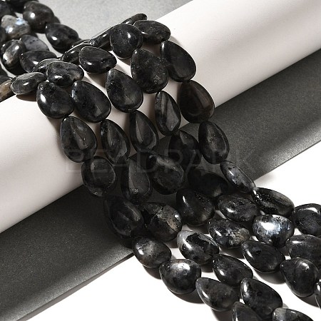 Natural Larvikite Beads Strands G-I377-A10-1