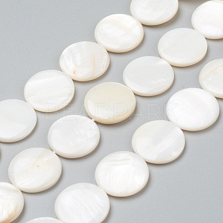 Natural Freshwater Shell Beads X-BSHE-I011-01A-02-1