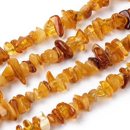 Natural Amber Chip Beads Strands G-E271-81-1
