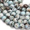 Natural Larimar Beads Strands G-L642-B19-10mm-4