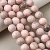 Natural Pink Zebra Jasper Beads Strands G-P231-01-10mm-10