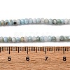 Natural Larimar Beads Strands G-F803-B01-01-5