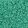 MIYUKI Round Rocailles Beads SEED-G009-RR0571-3