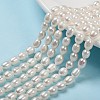 Natural Cultured Freshwater Pearl Beads Strands PEAR-T001-06C-1